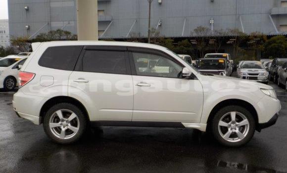 Buy Import Subaru Forester White Car in Port Moresby in National Capital District Buy Import Subaru Forester White Car in Port Moresby in National Capital District