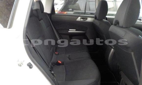 Buy Import Subaru Forester White Car in Port Moresby in National Capital District Buy Import Subaru Forester White Car in Port Moresby in National Capital District