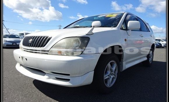 Acheter Occasion Voiture Toyota Harrier Autre à Wabag, Enga Acheter Occasion Voiture Toyota Harrier Autre à Wabag, Enga