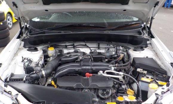 Buy Import Subaru Forester White Car in Port Moresby in National Capital District Buy Import Subaru Forester White Car in Port Moresby in National Capital District