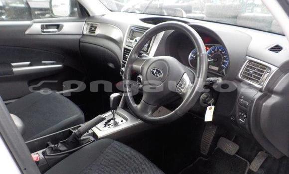 Buy Import Subaru Forester White Car in Port Moresby in National Capital District Buy Import Subaru Forester White Car in Port Moresby in National Capital District