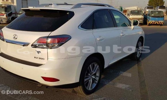 Buy Import Lexus RX 350 White Car in Import - Dubai in Enga Buy Import Lexus RX 350 White Car in Import - Dubai in Enga
