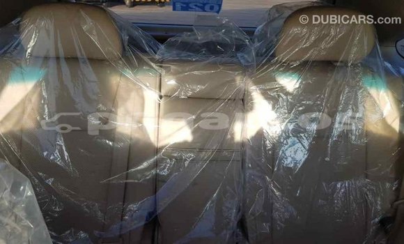 Buy Import Lexus RX 350 White Car in Import - Dubai in Enga Buy Import Lexus RX 350 White Car in Import - Dubai in Enga