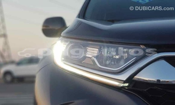 Buy Import Honda C Other Bike in Import - Dubai in Enga Buy Import Honda C Other Bike in Import - Dubai in Enga