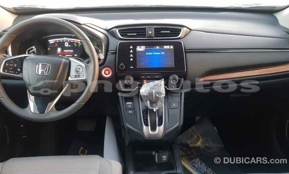 Buy Import Honda C Other Bike in Import - Dubai in Enga Buy Import Honda C Other Bike in Import - Dubai in Enga