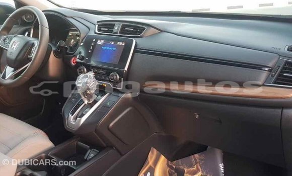 Buy Import Honda C Other Bike in Import - Dubai in Enga