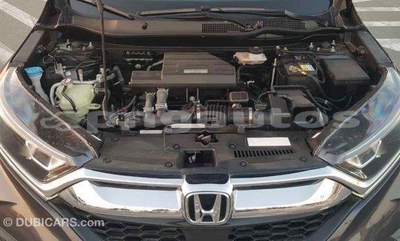 Buy Import Honda C Other Bike in Import - Dubai in Enga Buy Import Honda C Other Bike in Import - Dubai in Enga