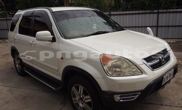 Acheter Occasion Voiture Honda CRV Autre à Laiagam, Enga