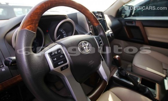 Buy Import Toyota Prado White Car in Import - Dubai in Enga Buy Import Toyota Prado White Car in Import - Dubai in Enga