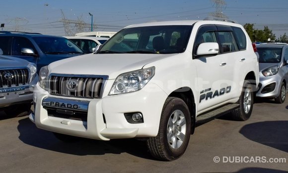 Buy Import Toyota Prado White Car in Import - Dubai in Enga Buy Import Toyota Prado White Car in Import - Dubai in Enga