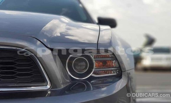 Buy Import Ford Mustang Other Car in Import - Dubai in Enga Buy Import Ford Mustang Other Car in Import - Dubai in Enga
