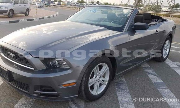 Buy Import Ford Mustang Other Car in Import - Dubai in Enga Buy Import Ford Mustang Other Car in Import - Dubai in Enga