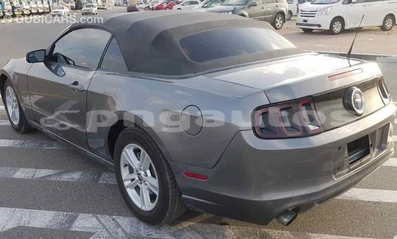 Buy Import Ford Mustang Other Car in Import - Dubai in Enga Buy Import Ford Mustang Other Car in Import - Dubai in Enga
