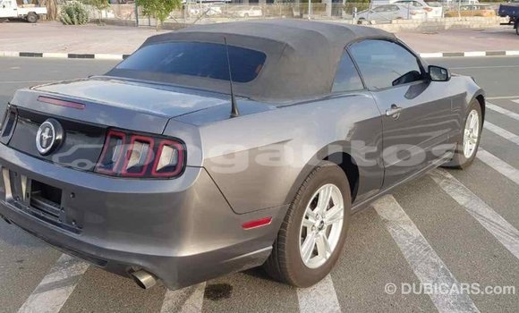 Buy Import Ford Mustang Other Car in Import - Dubai in Enga Buy Import Ford Mustang Other Car in Import - Dubai in Enga