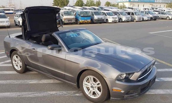 Buy Import Ford Mustang Other Car in Import - Dubai in Enga Buy Import Ford Mustang Other Car in Import - Dubai in Enga