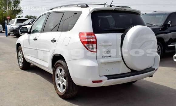 Buy Import Toyota 4Runner White Car in Import - Dubai in Enga Buy Import Toyota 4Runner White Car in Import - Dubai in Enga