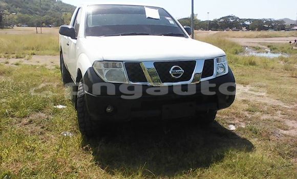 Acheter Occasion Voiture Nissan Navara Autre à Laiagam, Enga Acheter Occasion Voiture Nissan Navara Autre à Laiagam, Enga