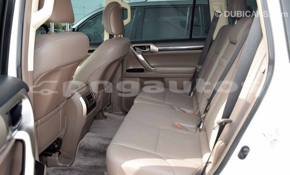 Buy Import Lexus GX White Car in Import - Dubai in Enga Buy Import Lexus GX White Car in Import - Dubai in Enga