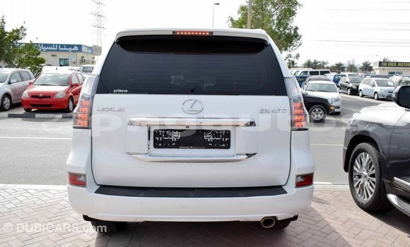Buy Import Lexus GX White Car in Import - Dubai in Enga Buy Import Lexus GX White Car in Import - Dubai in Enga