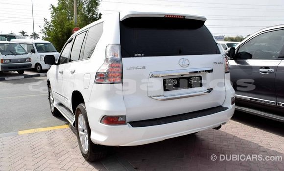 Buy Import Lexus GX White Car in Import - Dubai in Enga Buy Import Lexus GX White Car in Import - Dubai in Enga