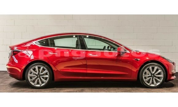 Buy Import Tesla Model 3 Red Car in Import - Dubai in Enga Buy Import Tesla Model 3 Red Car in Import - Dubai in Enga