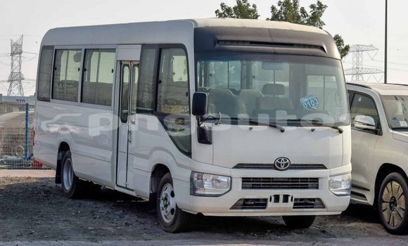 Buy Import Toyota Coaster White Car in Import - Dubai in Enga Buy Import Toyota Coaster White Car in Import - Dubai in Enga