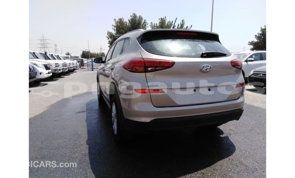 Buy Import Kia Sportage Black Car in Import - Dubai in Enga Buy Import Kia Sportage Black Car in Import - Dubai in Enga