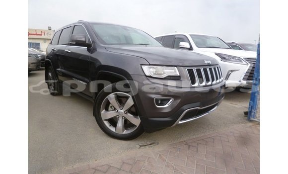 Acheter Import Voiture Jeep Grand Cherokee Autre à Import - Dubai, Enga