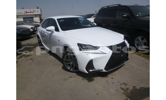 Buy Import Lexus IS White Car in Import - Dubai in Enga Buy Import Lexus IS White Car in Import - Dubai in Enga