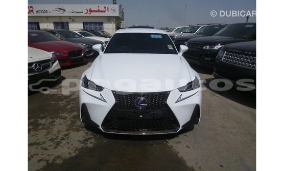 Buy Import Lexus IS White Car in Import - Dubai in Enga Buy Import Lexus IS White Car in Import - Dubai in Enga