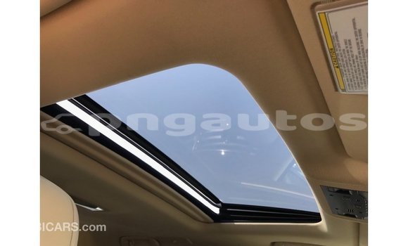 Buy Import Lexus LX Blue Car in Import - Dubai in Enga Buy Import Lexus LX Blue Car in Import - Dubai in Enga