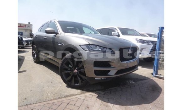 Buy Import Jaguar F-Pace Other Car in Import - Dubai in Enga