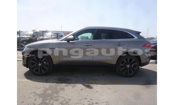 Buy Import Jaguar F-Pace Other Car in Import - Dubai in Enga Buy Import Jaguar F-Pace Other Car in Import - Dubai in Enga