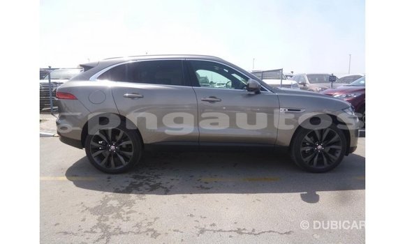 Buy Import Jaguar F-Pace Other Car in Import - Dubai in Enga Buy Import Jaguar F-Pace Other Car in Import - Dubai in Enga