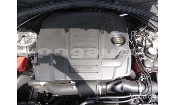 Buy Import Jaguar F-Pace Other Car in Import - Dubai in Enga Buy Import Jaguar F-Pace Other Car in Import - Dubai in Enga