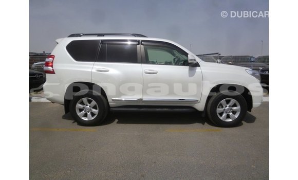 Buy Import Toyota Prado White Car in Import - Dubai in Enga Buy Import Toyota Prado White Car in Import - Dubai in Enga