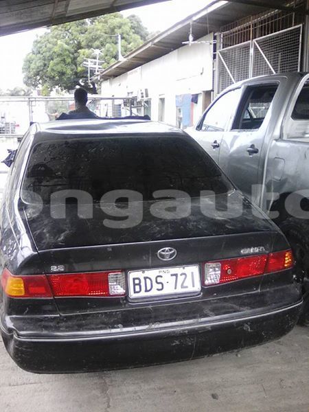 Big with watermark post id 4345 yxd7f