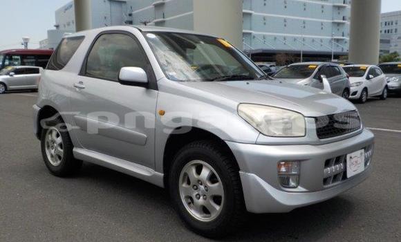 Buy Import Toyota RAV4 Silver Car in Port Moresby in National Capital District Buy Import Toyota RAV4 Silver Car in Port Moresby in National Capital District
