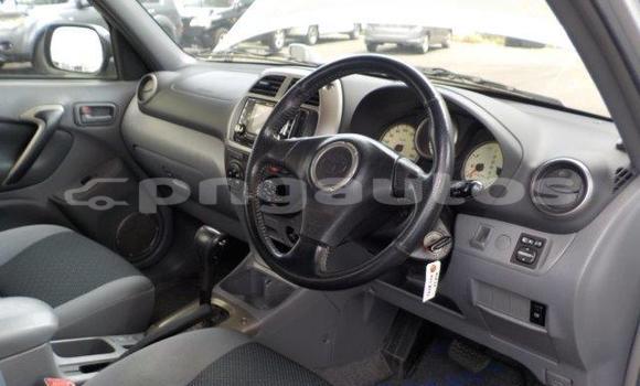 Buy Import Toyota RAV4 Silver Car in Port Moresby in National Capital District Buy Import Toyota RAV4 Silver Car in Port Moresby in National Capital District