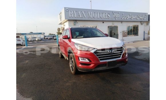 Buy Import Hyundai Tucson Red Car in Import - Dubai in Enga Buy Import Hyundai Tucson Red Car in Import - Dubai in Enga