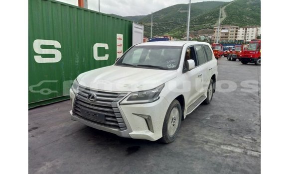 Buy Import Lexus LX White Car in Import - Dubai in Enga Buy Import Lexus LX White Car in Import - Dubai in Enga