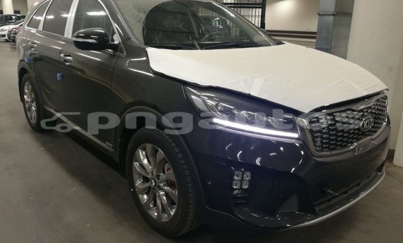 Buy Import Kia Sorento Brown Car in Import - Dubai in Enga Buy Import Kia Sorento Brown Car in Import - Dubai in Enga