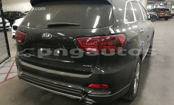 Buy Import Kia Sorento Brown Car in Import - Dubai in Enga Buy Import Kia Sorento Brown Car in Import - Dubai in Enga