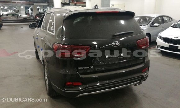 Buy Import Kia Sorento Brown Car in Import - Dubai in Enga Buy Import Kia Sorento Brown Car in Import - Dubai in Enga