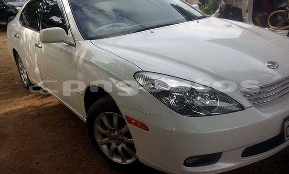 Buy Used Toyota Windom Other Car in Bulolo in Morobe Buy Used Toyota Windom Other Car in Bulolo in Morobe