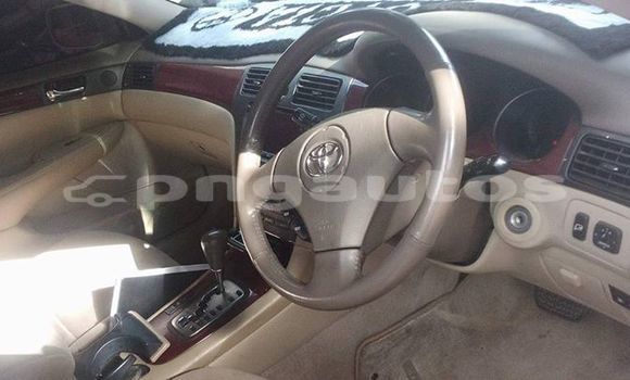Buy Used Toyota Windom Other Car in Bulolo in Morobe Buy Used Toyota Windom Other Car in Bulolo in Morobe