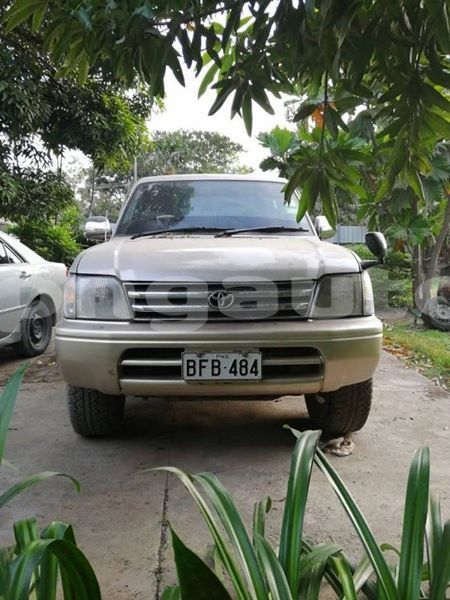 Big with watermark 61947059 1219960194845597 3413853140317896704 n