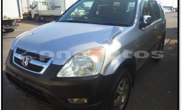 Buy Used Honda CRV Other Car in Lorengau in Manus Buy Used Honda CRV Other Car in Lorengau in Manus