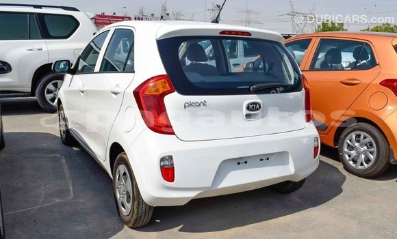 Buy Import Kia Picanto White Car in Import - Dubai in Enga Buy Import Kia Picanto White Car in Import - Dubai in Enga
