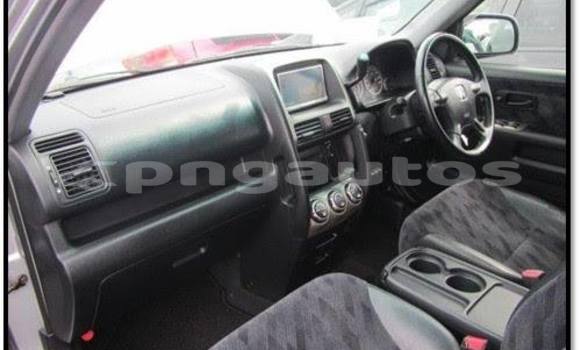 Buy Used Honda CRV Other Car in Lorengau in Manus Buy Used Honda CRV Other Car in Lorengau in Manus
